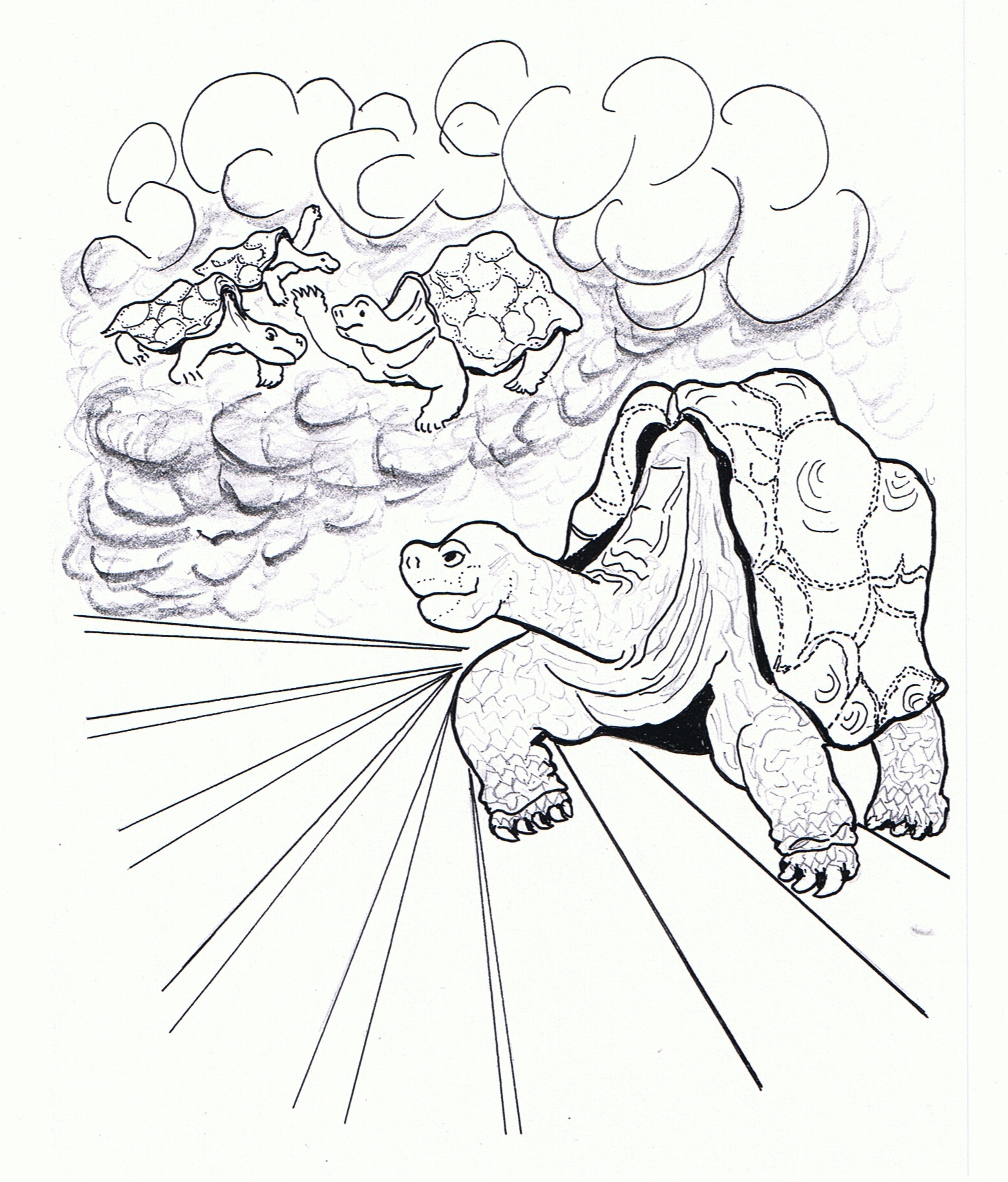 galapagos turtle coloring pages - photo #13
